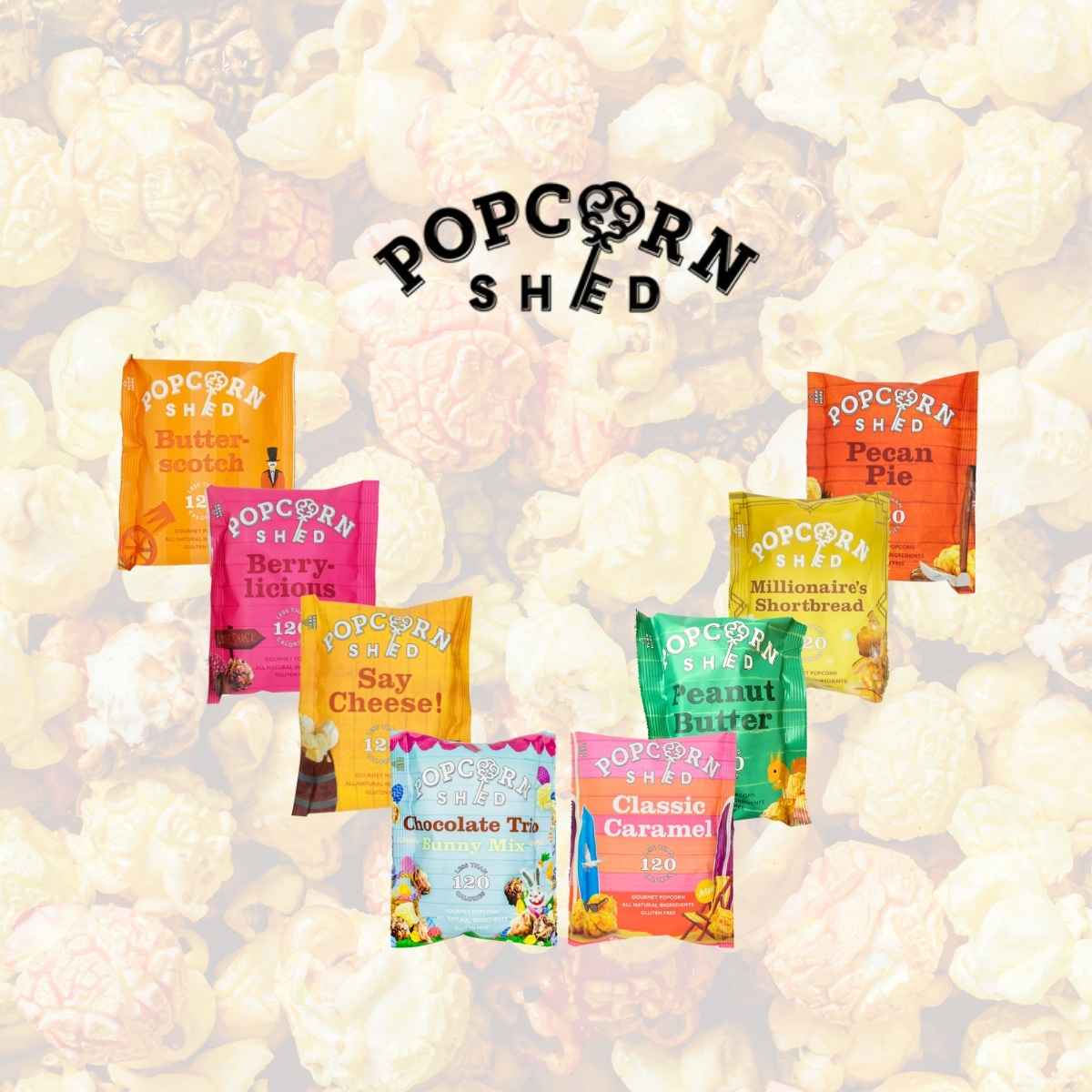 Popcorn Shed gourmet savoury popcorn in a decorative shed-shaped box, a premium snack available at Yes2HealthyLife Singapore.